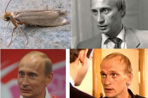 Ссылки для tor